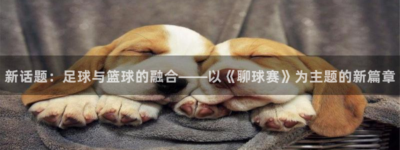 明升体育网站：新话题：足球与篮球的融合——以《聊球赛》为主题