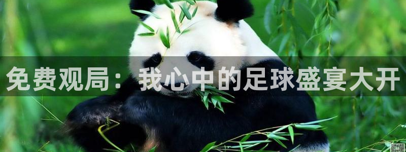 明升体育：免费观局：我心中的足球盛宴大开