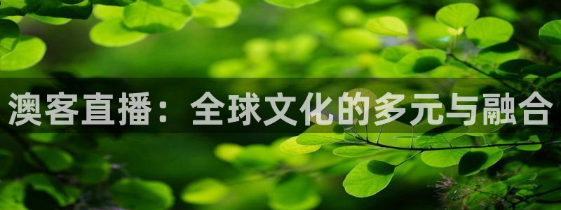 说球帝直播网：澳客直播：全球文化的多元与融合