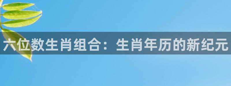 说球帝官网下载：六位数生肖组合：生肖年历的新纪元