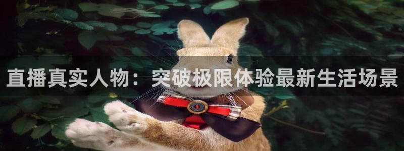 说球帝篮球直播