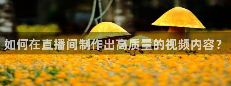 说球帝最新版免费直播：如何在直播间制作出高质量的视频内容？