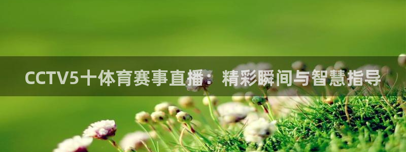 说球帝直播网站：CCTV5十体育赛事直播：精彩瞬间与智慧指导