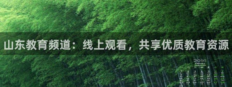 说球帝nba直播在线篮球：山东教育频道：线上观看，共享优质教育资源