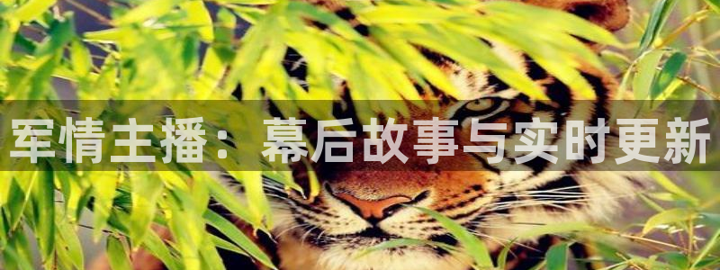 说球帝nba直播免费：军情主播：幕后故事与实时更新